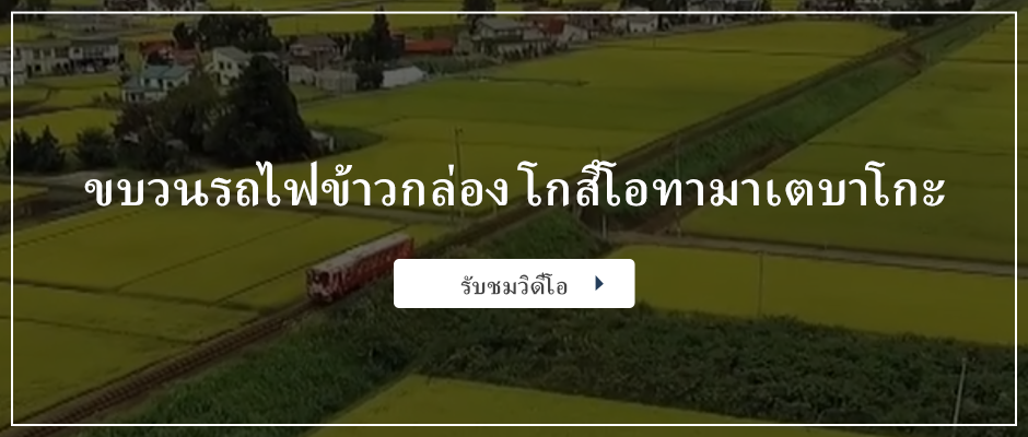 ขบวนรถไฟข้าวกล่อง โกสึโอทามาเตบาโกะ