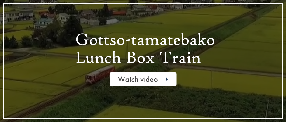Gottso-tamatebako Lunch Box Train