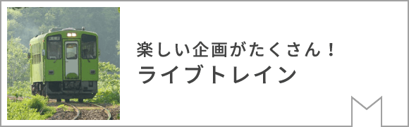 Satoyama Restaurant & Cafe Koguma-tei