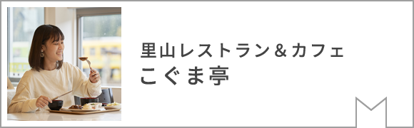 Nairiku Line Trip & Sightseeing Information